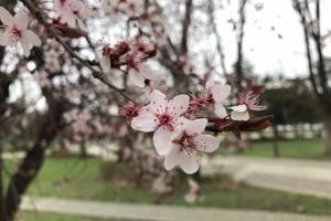 Bitrix 185748: 42b4ed44_5dae_4d38_aa29_0d313e9198d0.jpg