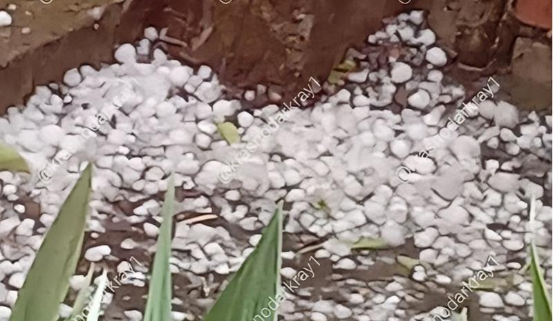 Bitrix 170313: 444.jpg