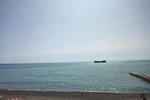 Bitrix 122710: 445577cc_3f8b_4778_bfe0_0f81346f11f5.jpeg
