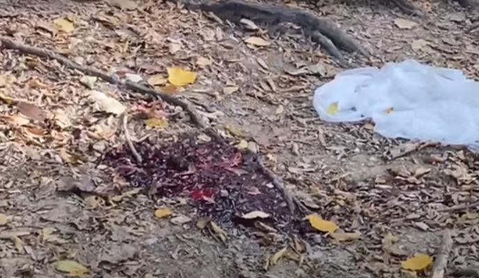 Bitrix 107133: 4477.jpg