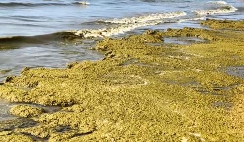 Bitrix 173232: 44.jpg