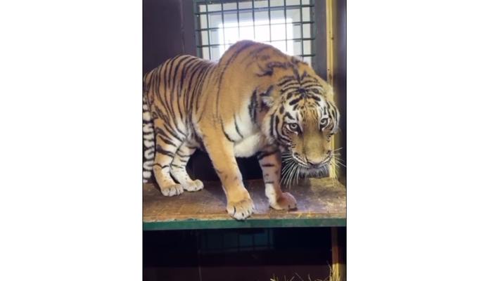 Bitrix 161584: 44.jpg