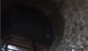 Bitrix 145519: 44.jpg