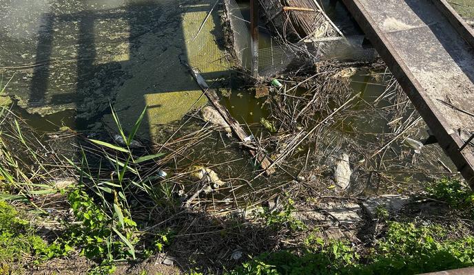 Bitrix 151073: 44.jpg