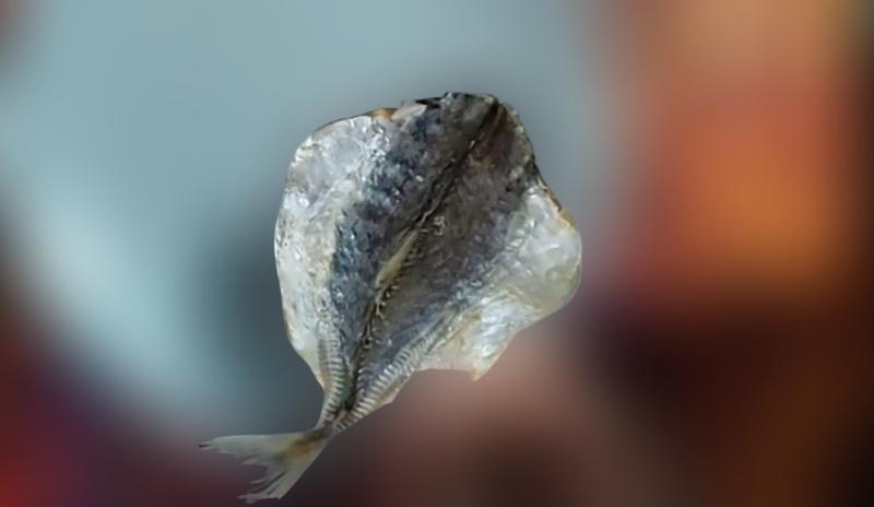 Bitrix 183453: 44.jpg