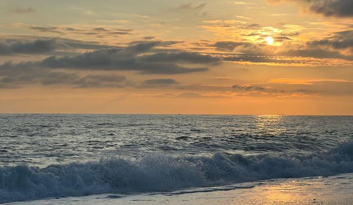 Bitrix 146258: 45538edb_2cdf_40ec_9fa1_fc4133ddbc97.jpg