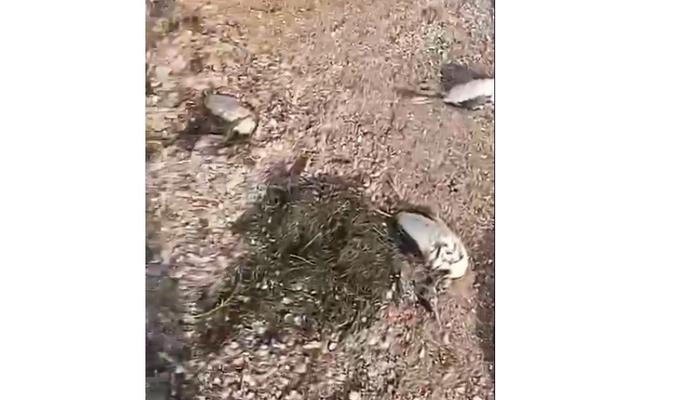 Bitrix 164570: 456.jpg