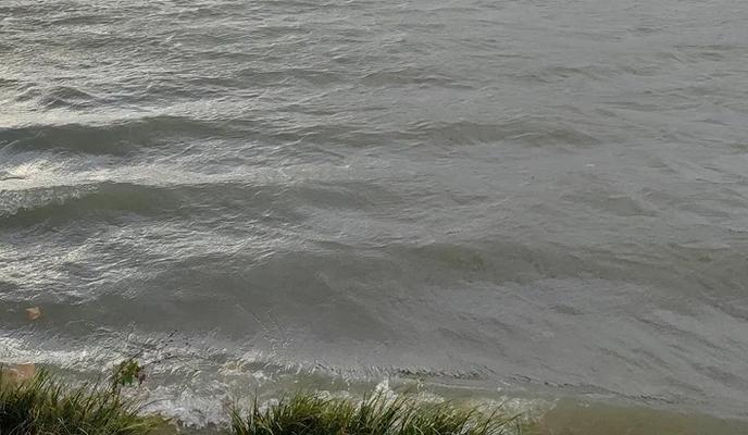 Bitrix 168581: 460.jpg