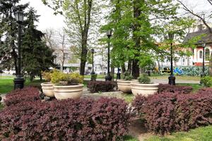 Bitrix 117426: 468a85e4_13b0_4a0c_a9c1_10d0555e5a34.jpg