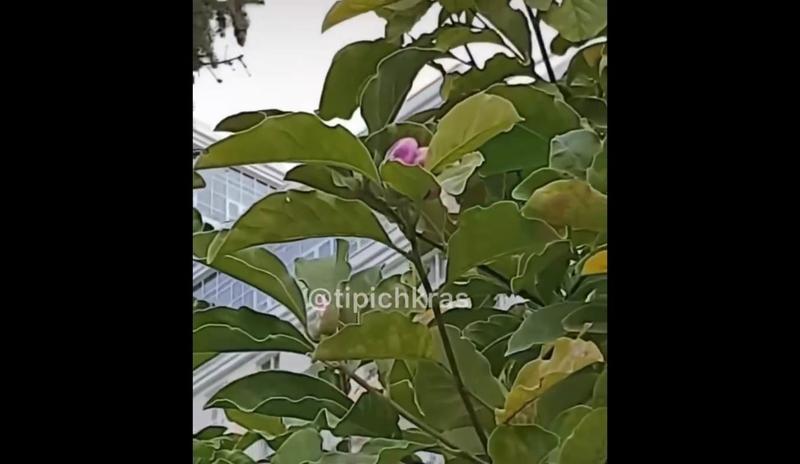 Bitrix 125155: 46Vr7gjkvQ2R0QaNQiZyFJ6SP4s4UIa0dCCQkD9NKJZHIsXvdDHNScRfUFvbhgpJ2i8rMDE6VyqeW6Ib4zopZ4o9.jpg