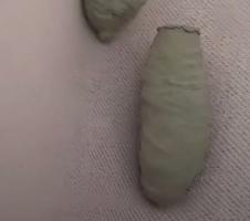 478