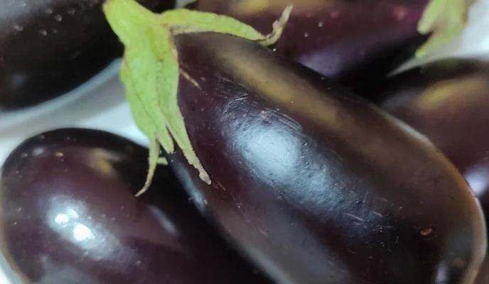 Bitrix 184852: 47.jpeg