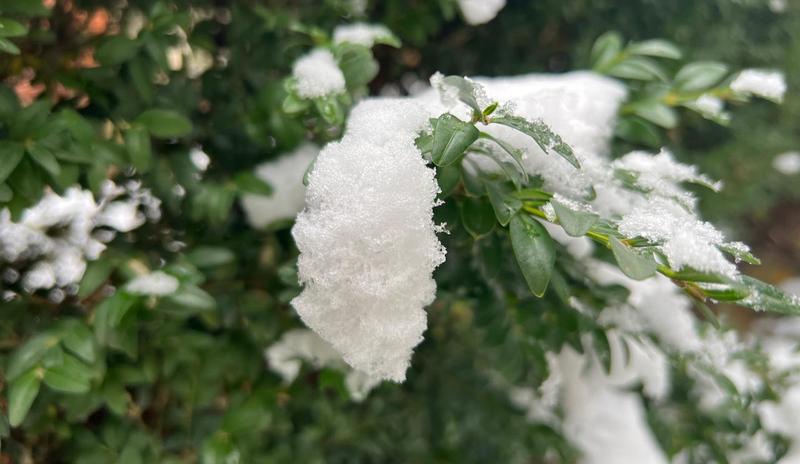 Bitrix 182827: 47bc8adf_23cf_4e74_949a_4a6127dca170.jpg