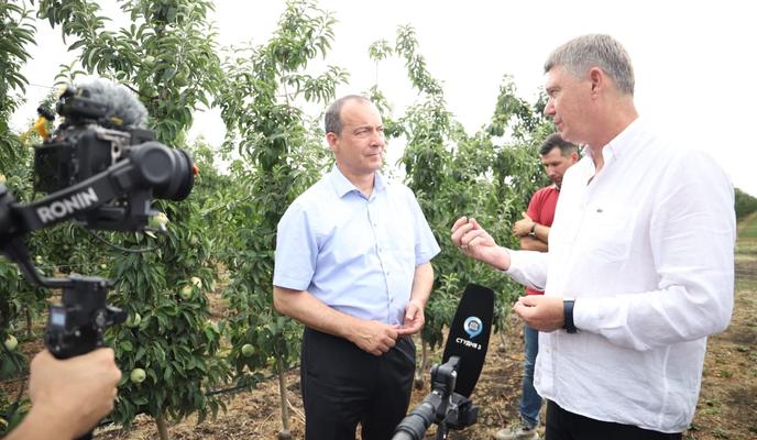 Bitrix 155506: 4.jpg