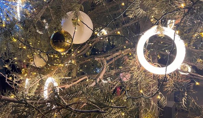 Bitrix 181464: 4.jpg