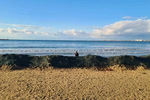 Bitrix 180376: 4.jpeg