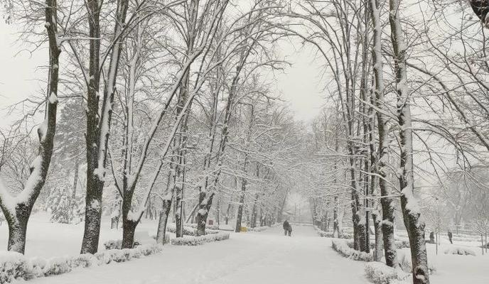 Bitrix 182662: 4.png