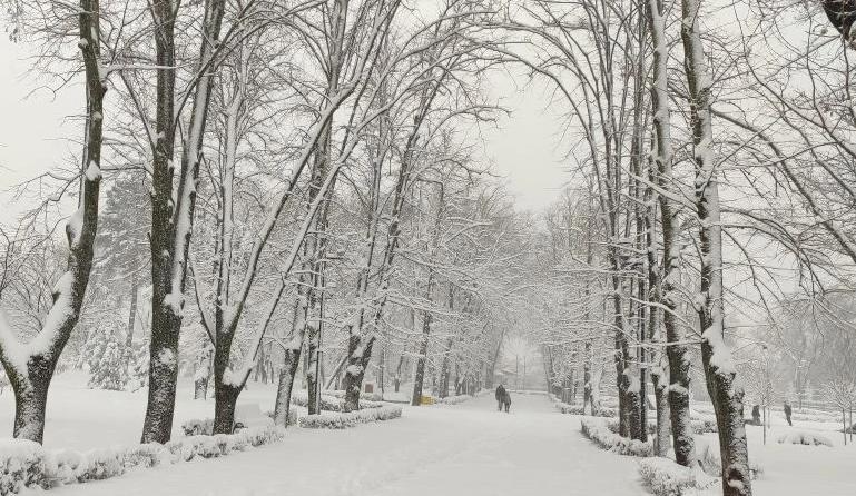 Bitrix 182662: 4.png