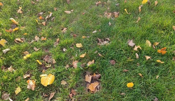 Bitrix 157976: 4.jpg