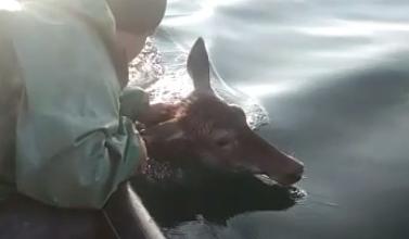 Bitrix 126361: 4.png