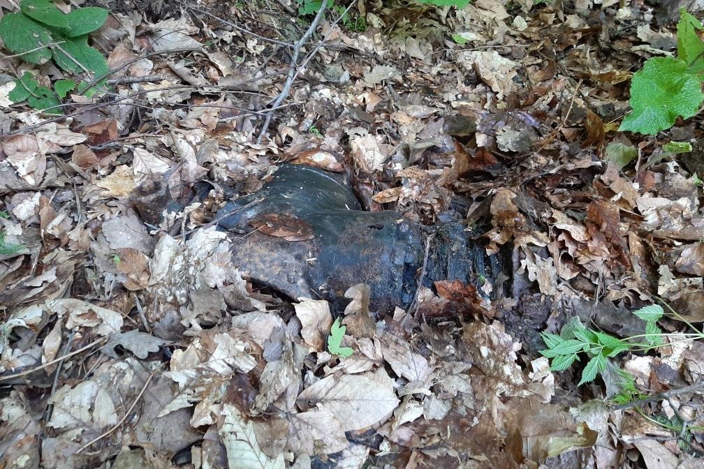 Bitrix 134607: 4cb6b547_4f69_45a4_92f5_b0404c94fd1a.jpg