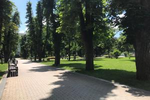 Bitrix 172704: 4dd778dc_8c8f_4164_b82e_1097b6d467e7.jpg