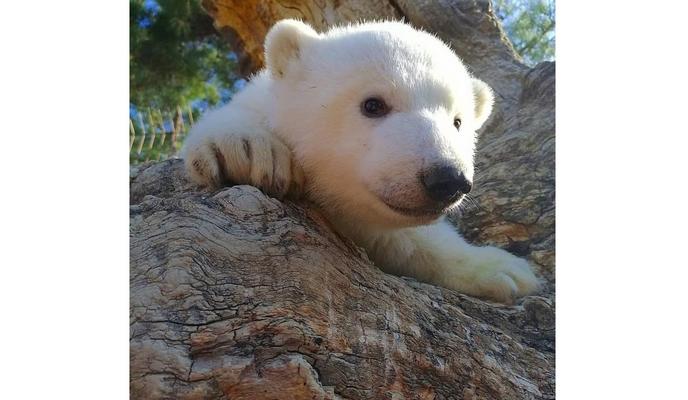 Bitrix 93751: 4ef711c1_c4cb_4a2d_9db3_018021de522d.jpg