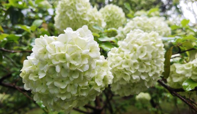 Bitrix 170634: 4zWZez1zkB8.jpg