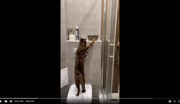 Bitrix 106873: 501.jpg