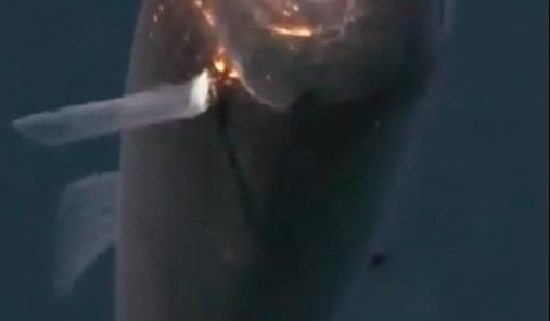 501