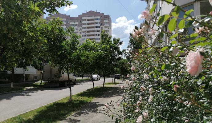 Bitrix 97095: 5336a925_c8b7_4fbe_a702_d1b489770da7.jpg