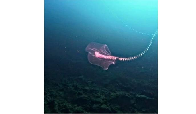 Bitrix 169716: 555.jpg