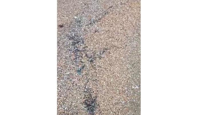 Bitrix 170375: 555.jpg