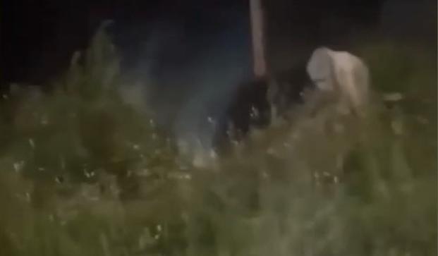 Bitrix 139063: 55.jpg