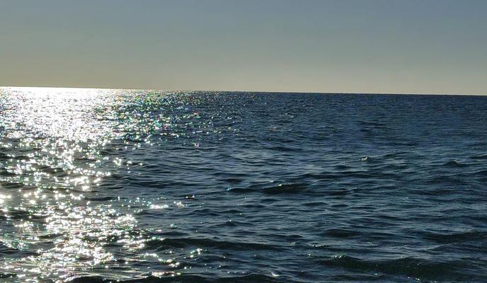 Фото Новая Кубань