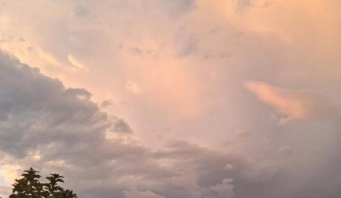 Bitrix 171049: 55.jpg