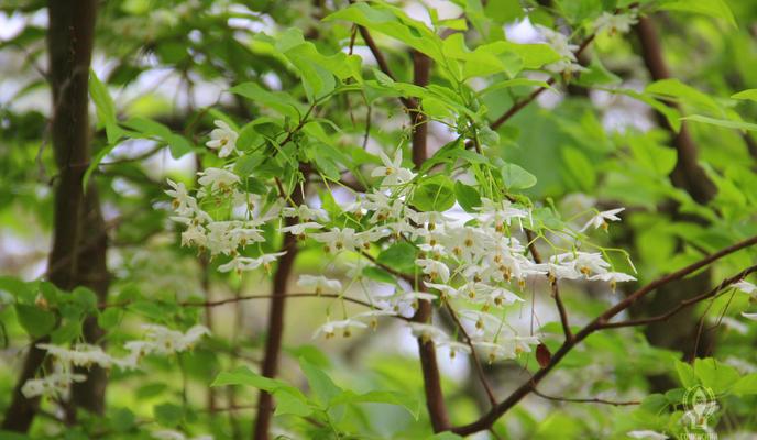 Bitrix 96347: 55.jpg