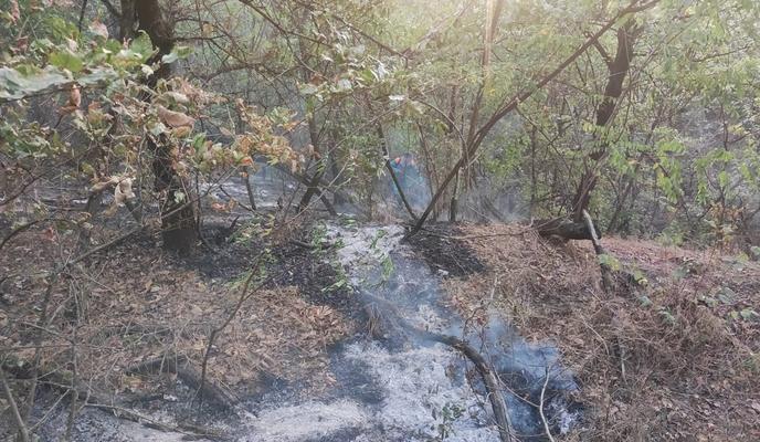 Bitrix 157395: 55.jpg