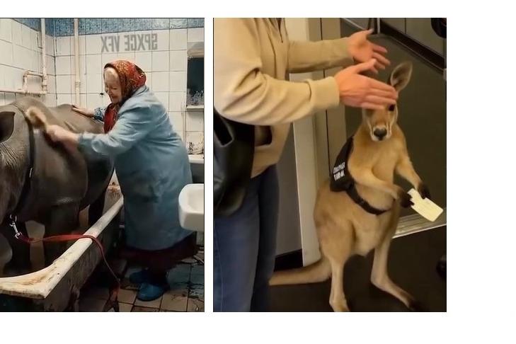 Bitrix 172572: 55.jpg