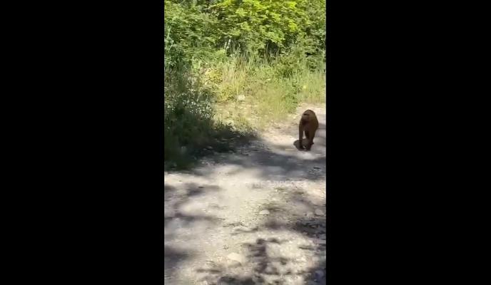 Bitrix 97902: 56.jpg