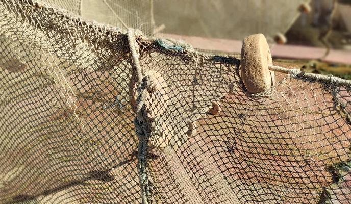 Bitrix 159658: 58.jpg