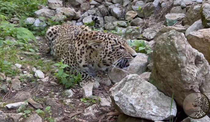 Bitrix 118899: 58hsCyNyrEaV4d0bXPXb6ANYtJcuzOWo_g71EENiQvMHmKU2IbsCXeHIWDBGjcshoFP6u8VrdmUphWC2bO_CS32O.jpg