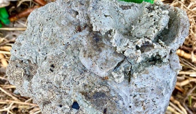 Bitrix 184176: 590.jpg