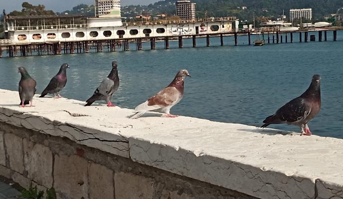 Bitrix 105802: 5936ab86_2126_4d84_845c_634ffb0aa1bc.jpg