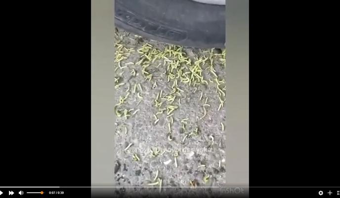 Bitrix 96498: 59.jpg