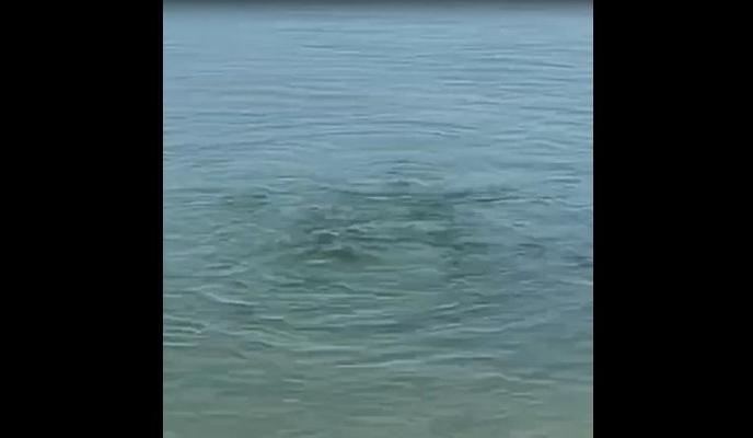 Bitrix 146407: 59.jpg