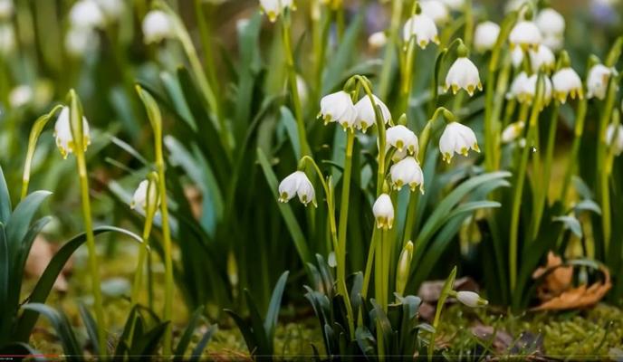 Bitrix 94073: 59.jpg