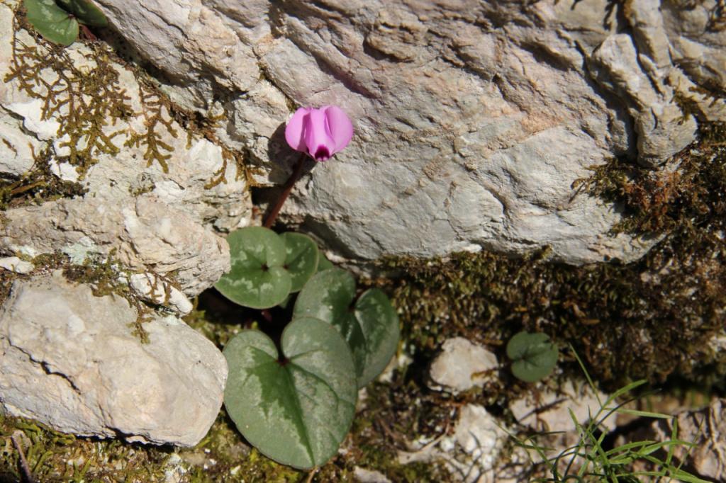 Bitrix 128778: 59xh3chyjpb7529gh4xkfa4gv3x5m8d4-_1_.jpeg