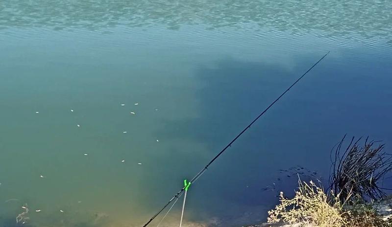 Bitrix 184198: 5.jpeg