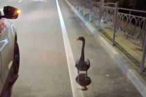 Bitrix 182112: 5.jpg